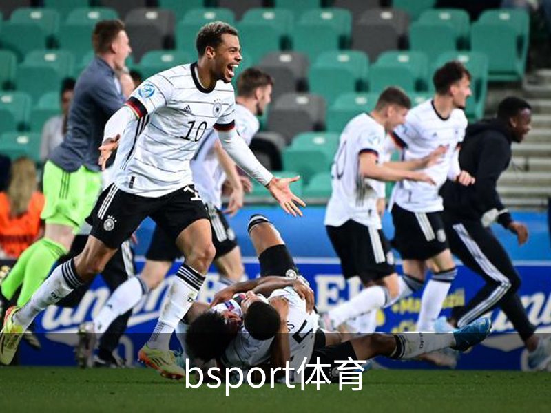 了解bsport体育